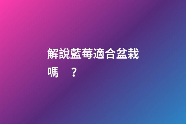 解說藍莓適合盆栽嗎？